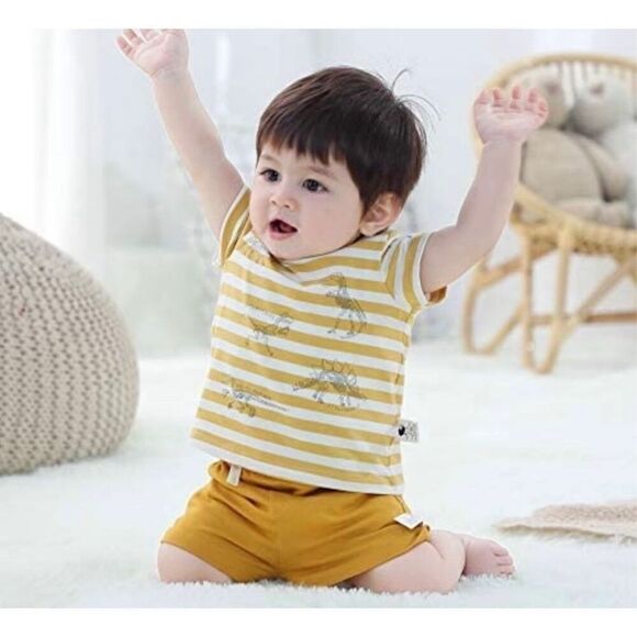 New in Package Baby Boys Cottonfairy Dinosaur 2 Piece Outfit - Sz 18 mo - Picture 1 of 3